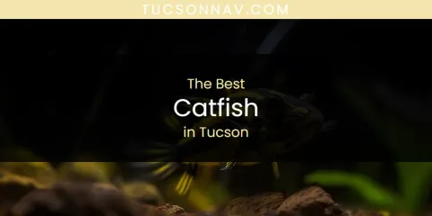 The Best Catfish in Tucson List