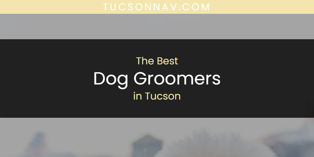 Tucson's Best Dog Groomers [Updated 2025]