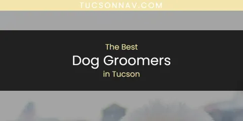 Best Dog Groomers in Tucson: Our Expert Picks