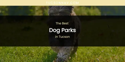 Tucson's Best Dog Parks