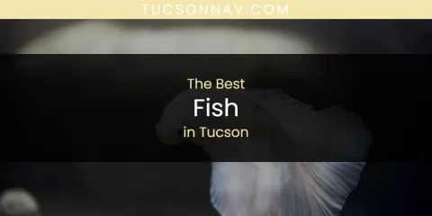 Ranked: Best Fish in Tucson