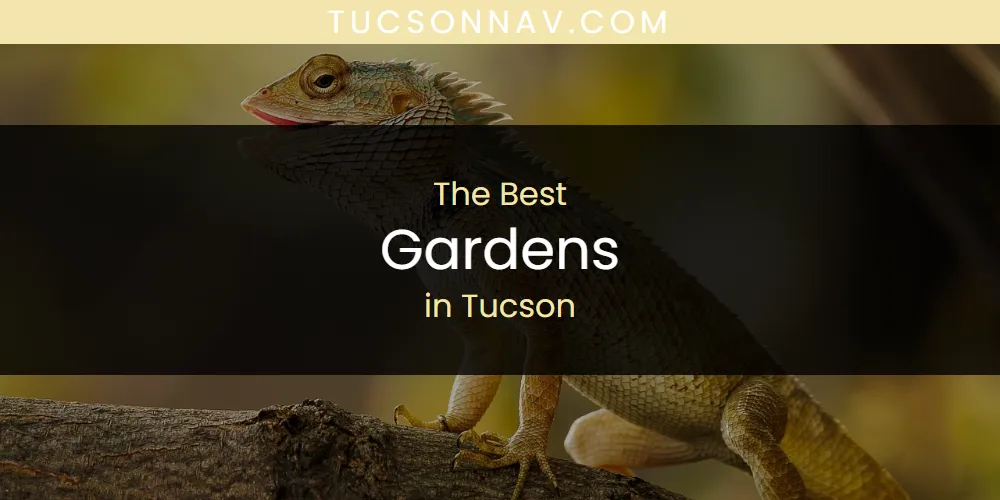 Tucson's Best Gardens [Updated 2025]