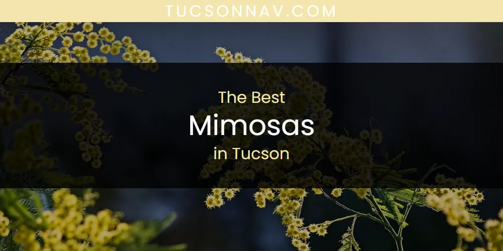 Tucson's Best Mimosas featured