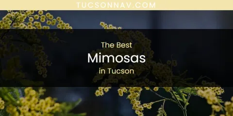 Tucson's Best Mimosas