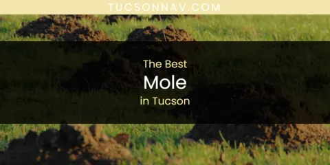 Tucson's Best Mole