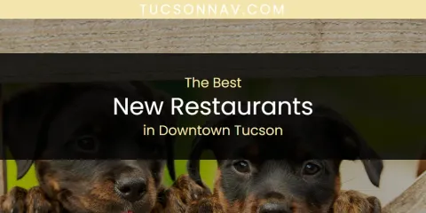 The Absolute Best New Restaurants in Downtown Tucson