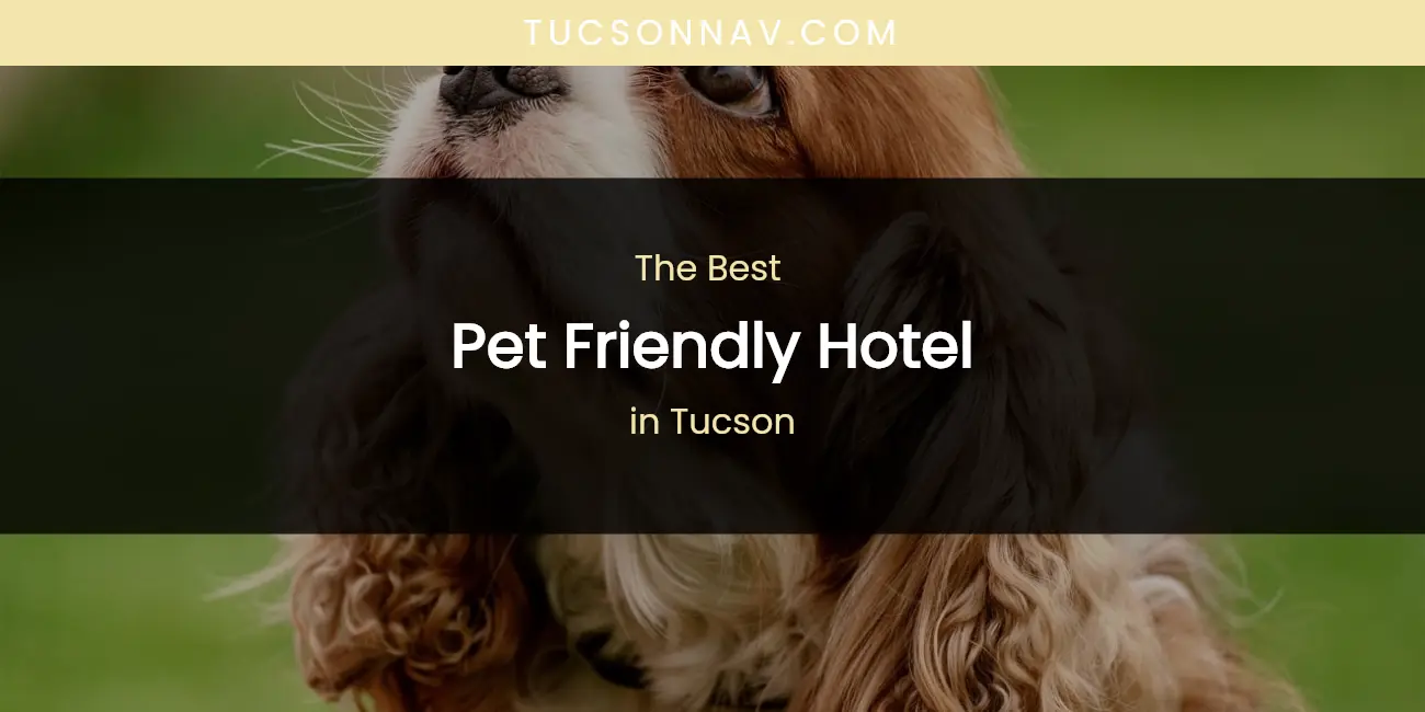 Tucson's Best Pet Friendly Hotel featured