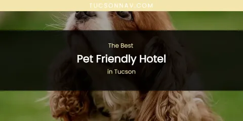 Tucson's Best Pet Friendly Hotel