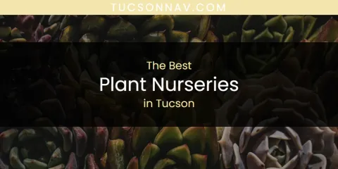 Tucson's Best Plant Nurseries