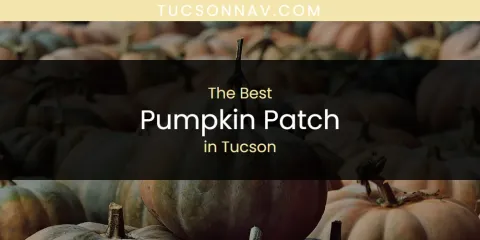 Tucson's Best Pumpkin Patch Spots