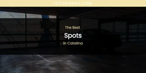 The Absolute Best Spots in Catalina